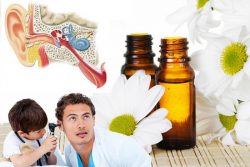 Recettes d' huiles essentielles pour la sphère ORL