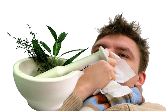 Medicina herbaria para tratar las enfermedades del invierno