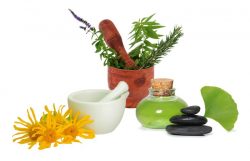 treat with herbal remedies and herbal medicine