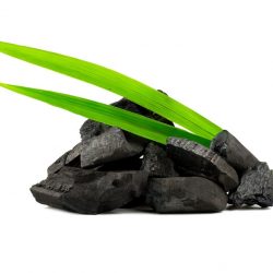 I benefici del carbone vegetale attivo per curare i tuoi disturbi digestivi