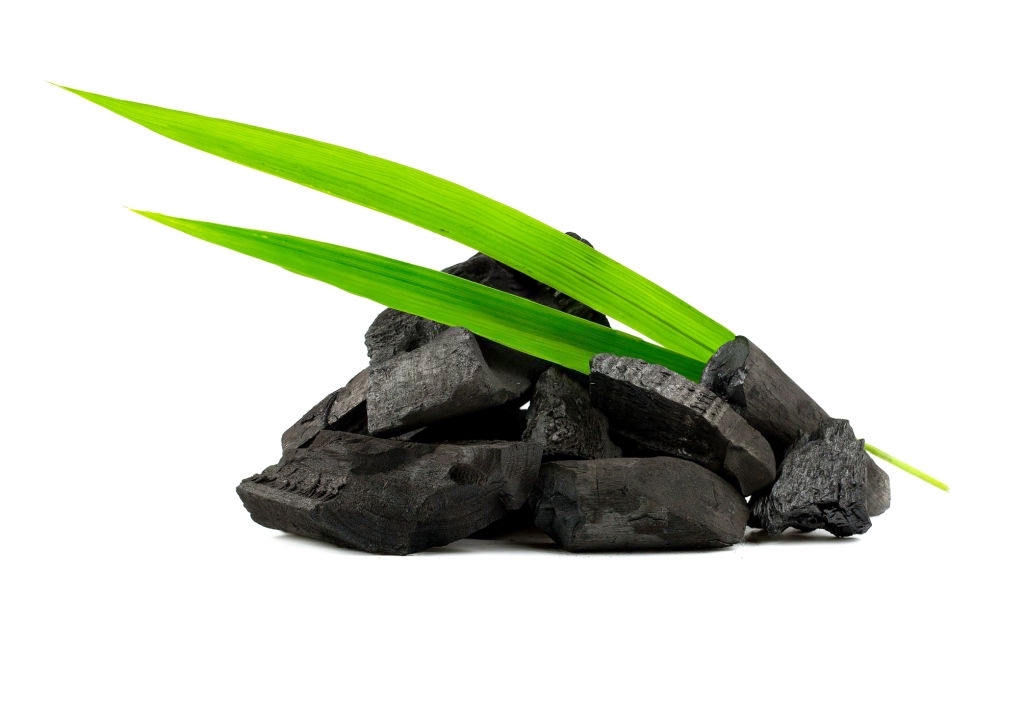 Benefits of activated vegetable charcoal to treat your digestive disorders