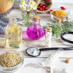 Medicinal plants and contraindications depending on the pathologies