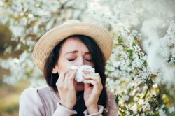 Allergies: regulating immunity without focusing on allergens