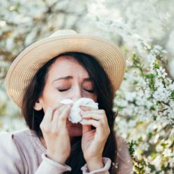 Alergias: regulando a imunidade sem focar nos alérgenos