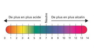 Zuur-base-balans van ons organisme