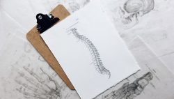 Plantes médicinales et homéopathie pour soulager la spondylarthrite ankylosante