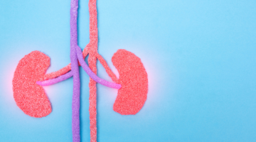 The use of herbal medicine in pyelonephritis