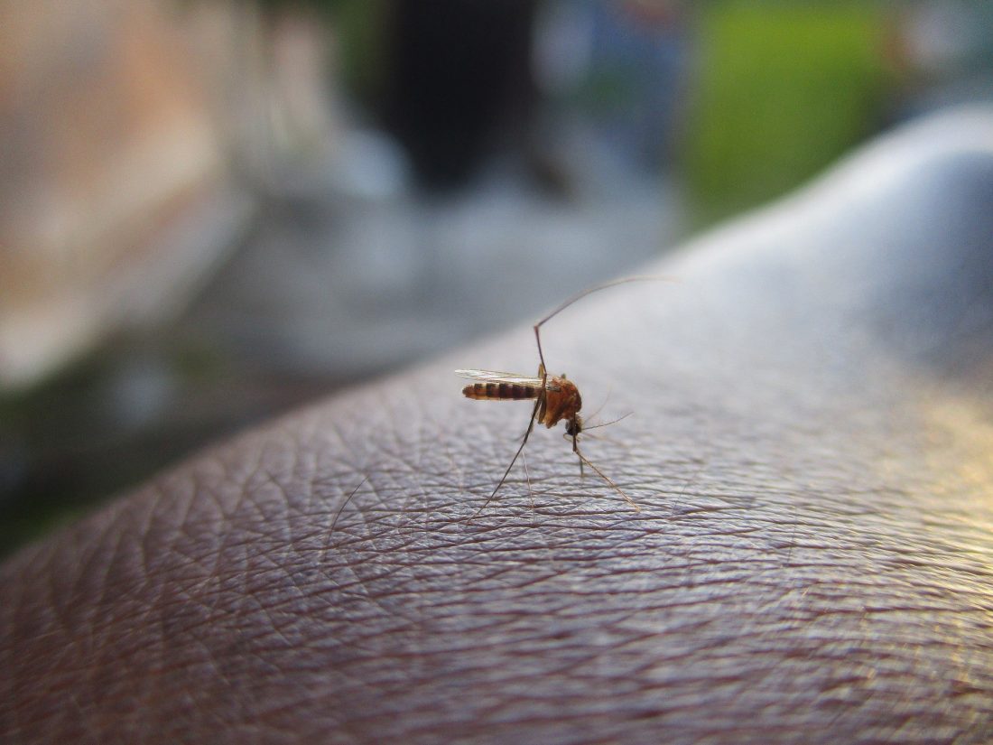 braccialetto repellente per zanzare