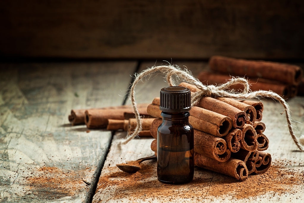 Ceylon Cinnamon Bark Essential Oil