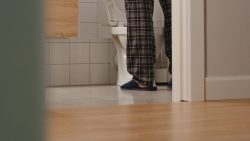Hyperplasie bénigne de la prostate et plantes médicinales
