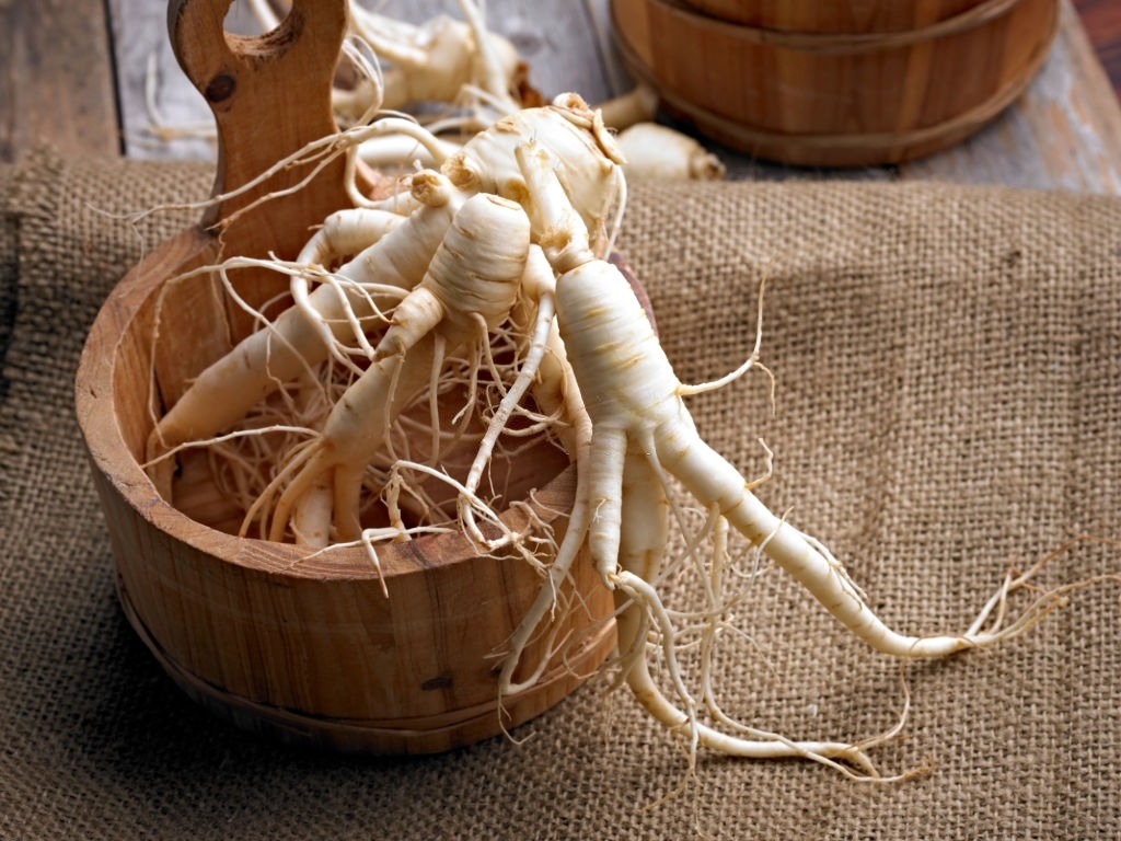 Propiedades farmacológicas de la raíz de ginseng