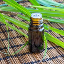 Ceylon Lemongrass ganzes Pflanzenöl
