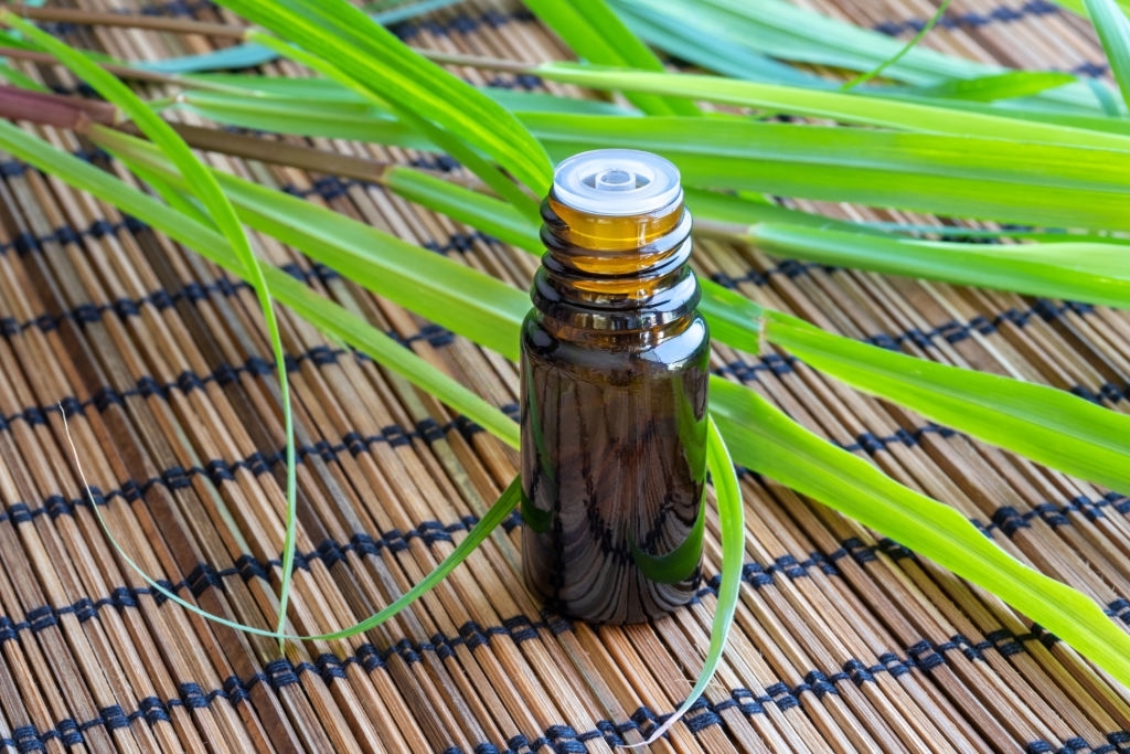 Olio essenziale di pianta da fiore intera di Citronella di Ceylon