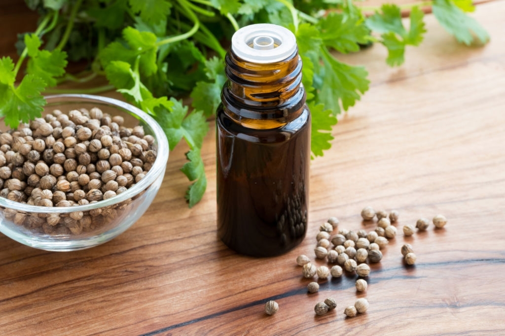 essential oil of coriander seeds