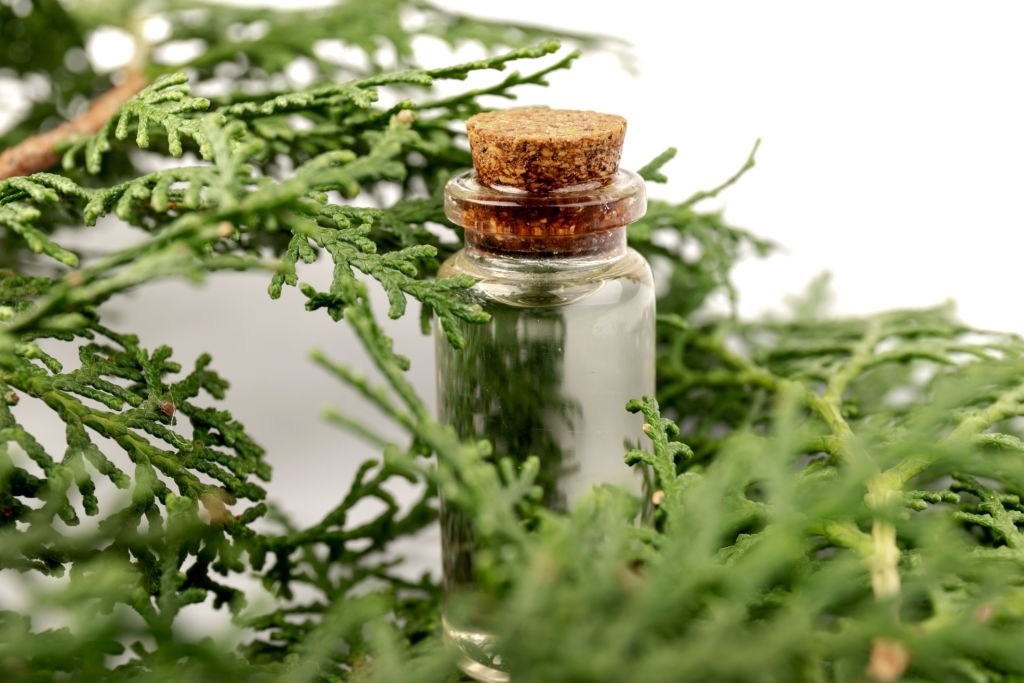 essential oil from leafy twigs of cypress