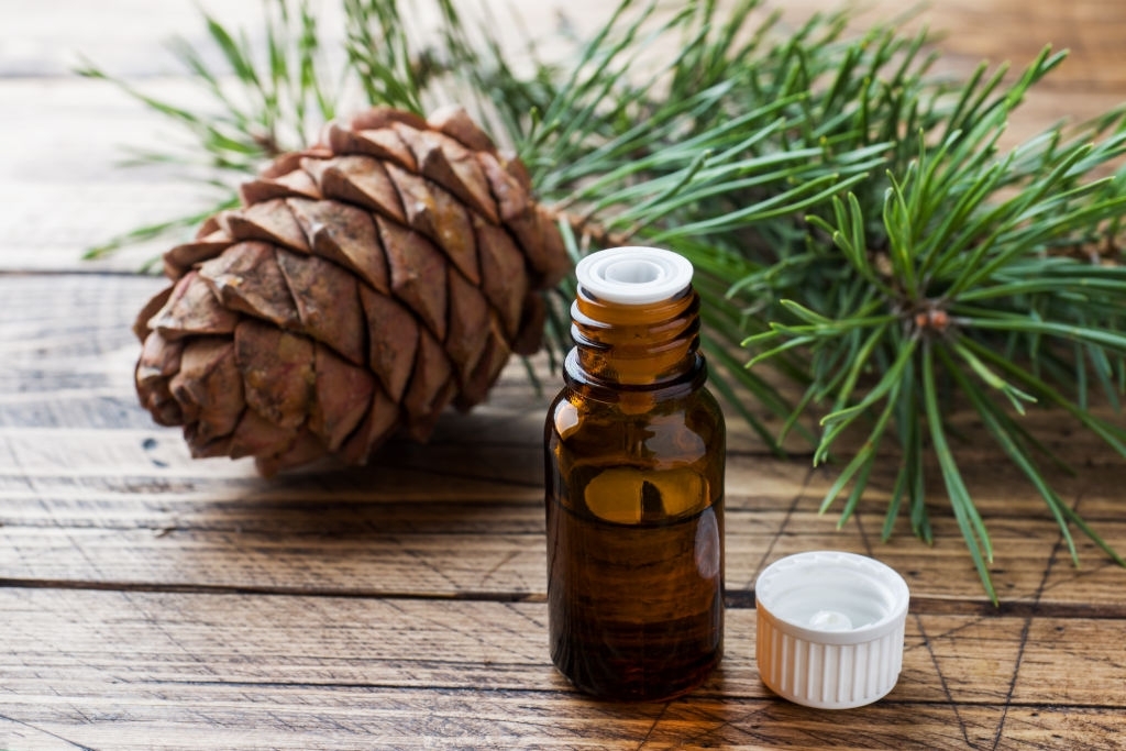 Health Benefits of Black Spruce Oil