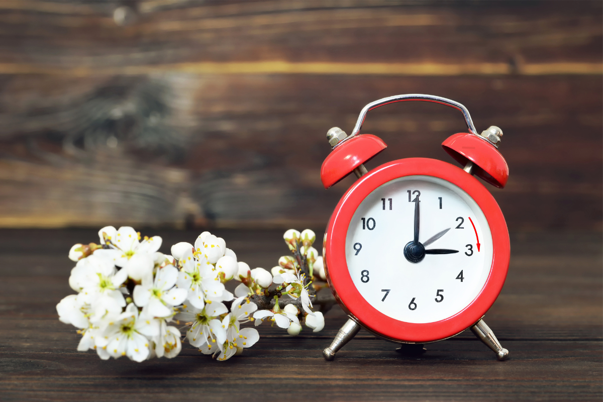 A red alarm clock indicating the change to summer time, accompanied by white flowers on a wooden background, illustrating the time change and its impact on our biological rhythm.