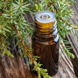 pharmacological properties of juniper berry essential oil 