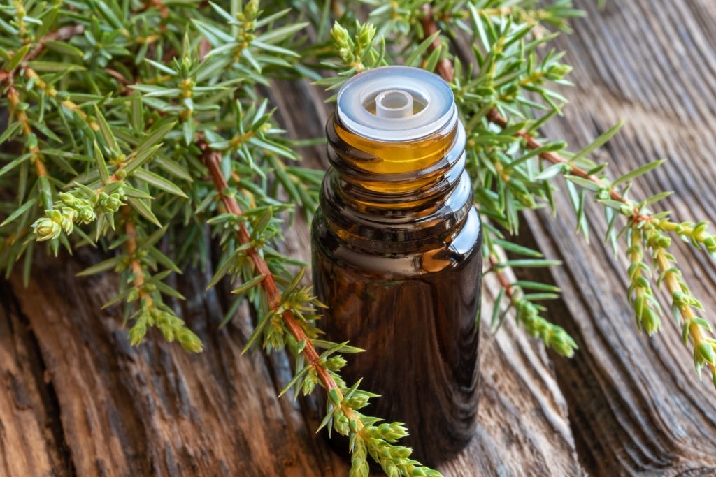 pharmacological properties of juniper berry essential oil 