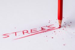 Die Rolle der Kräutermedizin bei Stressanpassungsstörungen