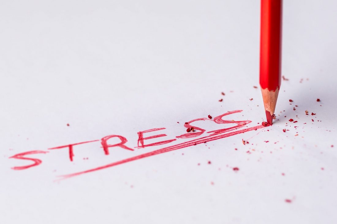O estresse é um estado perturbado de autorregulação. Quais plantas medicinais devo tomar em caso de transtornos de ajuste do estresse?