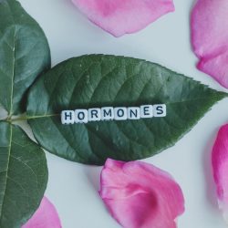 estrogen-progestogen hormonal rebalancing by Phytotherapy