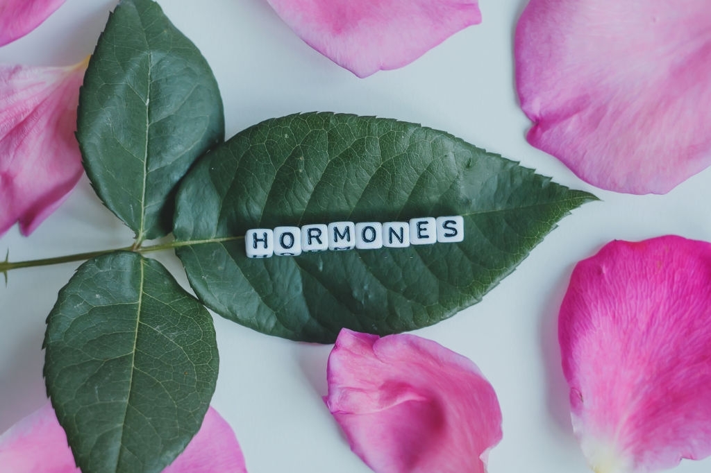 hormonelle Ausgleich von Östrogen-Gestagen durch Phytotherapie