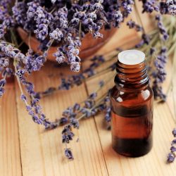 Lavendel aspic essentiële olie