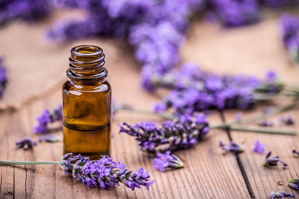 Voordelen van etherische olie van echte lavendelbloem