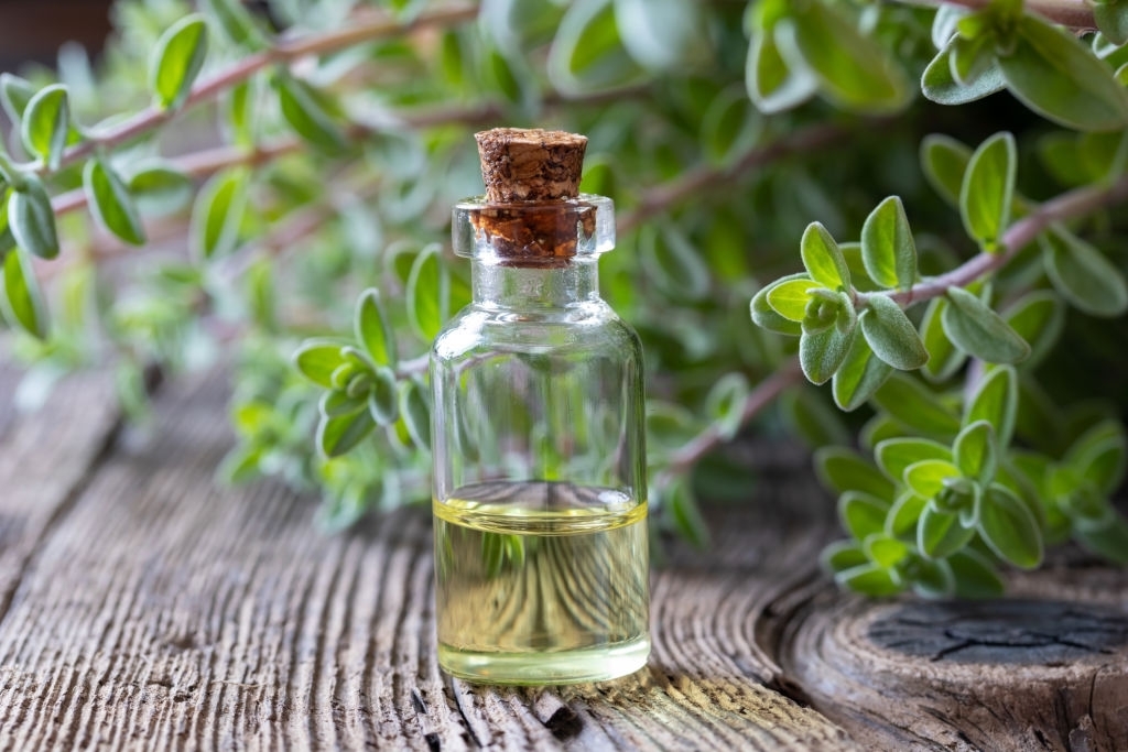 Marjoram essential oil