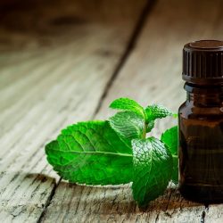 Peppermint essential oil, complex botanical hybrid