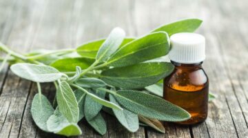 Aceite esencial de salvia, planta curativa sagrada