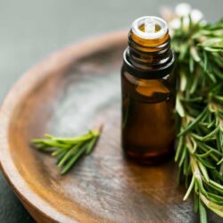 Rosemary essential oil with cineole, sacred plant of the gods