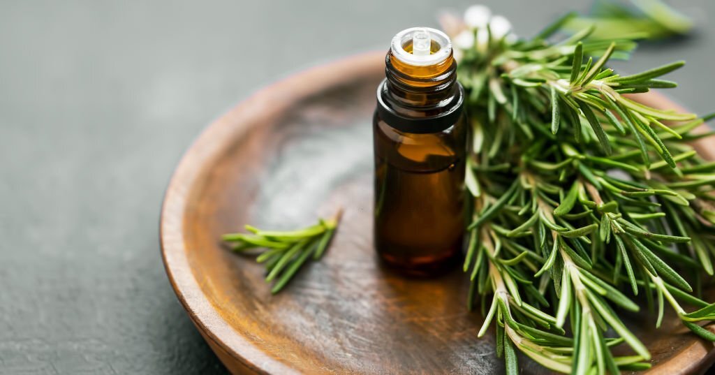 Rosemary essential oil with cineole, sacred plant of the gods