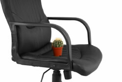 Chaise avec un cactus pour imager un accident hemorroïdaire