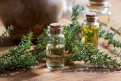 Propiedades del aceite esencial de flor de tomillo y tujanol