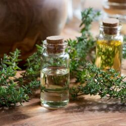 Properties of thyme flower essential oil and thujanol