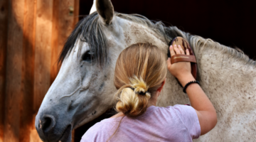 Rid our horse friends of parasitic flies