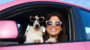 Mein Hund wird reisekrank, was kann ich tun?