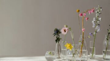 Qué hidrosol orgánico utilizar en mi piel