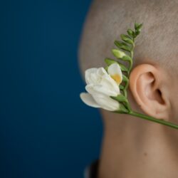L'image représente l'oreille d'une femme. Comment soigner une otite avec l'homéopathie ?