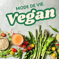 Image illustrating the vegan lifestyle with fresh vegetables, seeds and fruit, symbolising a balanced and healthy plant-based diet.