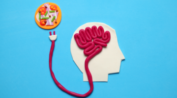L'asse intestino-cervello