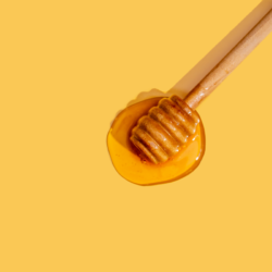Les bienfaits du miel de manuka