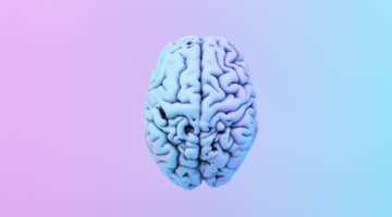 Como podemos manter a nossa função cerebral?