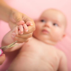 Comment couper les ongles de Bébé sans danger. une personne en train de couper les ongle son bébé en toute sécurité