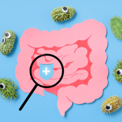 Une illustration conceptuelle montrant une loupe focalisée sur un intestin rose stylisé avec des microbes ayant des yeux, symbolisant une analyse détaillée de la flore intestinale dans le cadre du régime pauvre en FODMAP.