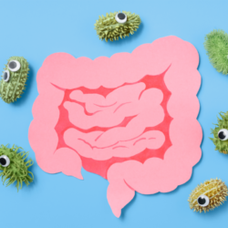 l'image represente des intestins avec des bactéries autour, pour imager le sibo et le sifo