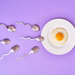 L'image représente un oeuf au plat dans une assiette, avec des cuillères qui ressemblent fortement a des spermatozoïdes qui se dirige tout droit vers l'œuf. Comment la micronutrition peut aider à booster la fertilité
