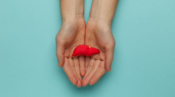 Ergyepur Foie and optimal liver health